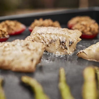 WEBER SLATE GP 56 cm Premium Griddle Gas Grill, 1500570 - WEBER - Evelostore