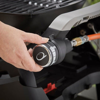 WEBER Q 1200N Gas Grill with Stand, 1501086 - WEBER - Evelostore