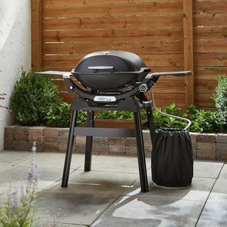 WEBER Q 2200N Gas Grill with Stand, 1501101 - WEBER - Evelostore