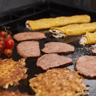 WEBER GENESIS E-335 gaasigrill