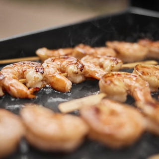 WEBER SLATE GP 43 cm Premium Griddle Gas Grill – 1501161 - WEBER - Evelostore