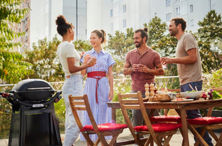 Weber Q 3200N+ dujinis grilis su vežimėliu, 1501137