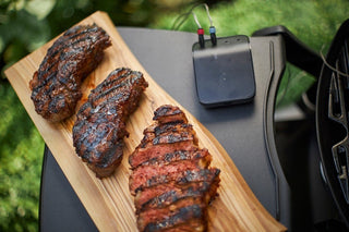 WEBER Q2000 Gas Grill with Stand, 53010369 - WEBER - Evelostore
