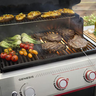 WEBER GENESIS EX-325W dujinis grilis