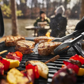 WEBER TRAVELER COMPACT Gāzes grils