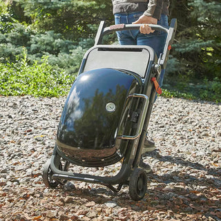 WEBER TRAVELER gas grill