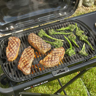 WEBER TRAVELER gas grill