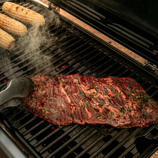 WEBER TRAVELER gas grill