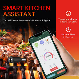 Smart bezvadu pārtikas termometra izjūtas punkts FS200 ar Bluetooth