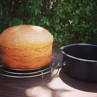 COBB COBB grilių dalys Universalus COBB indas, Ø22 cm