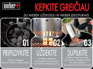 WEBER Starteri Ogļu šķiltavas WEBER, 20 cm